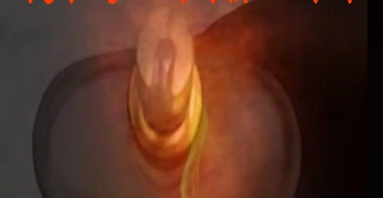 جلب الحبيب بالعطر مجرب