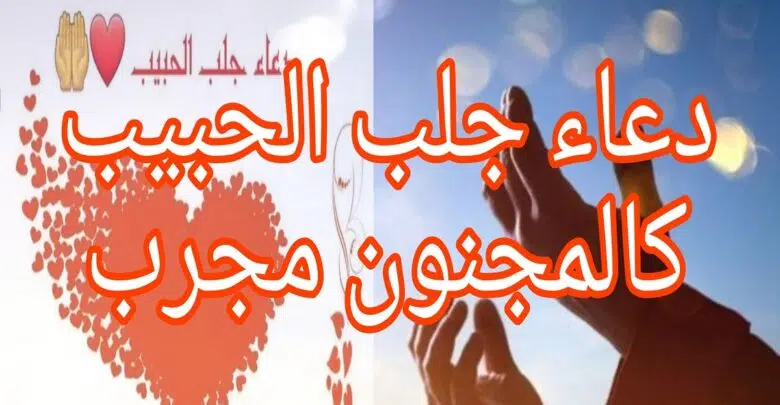 دعاء جلب الحبيب كالمجنون مجرب